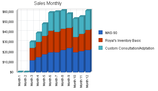 Inventory control software business plan, strategy and implementation summary chart image