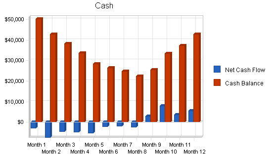 Skate park skiing business plan, financial plan chart image