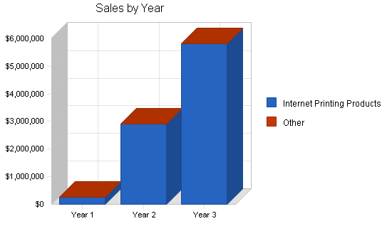 Print shop website business plan, strategy and implementation summary chart image