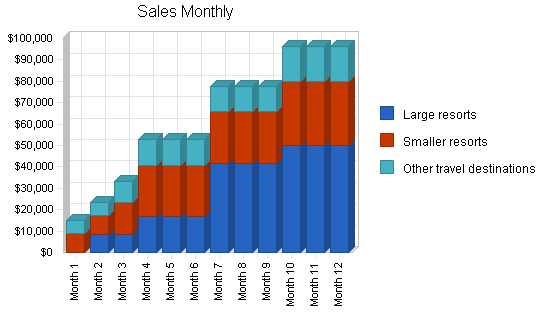 Tourism website services business plan, strategy and implementation summary chart image