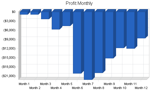 Wireless datacomm business plan, financial plan chart image