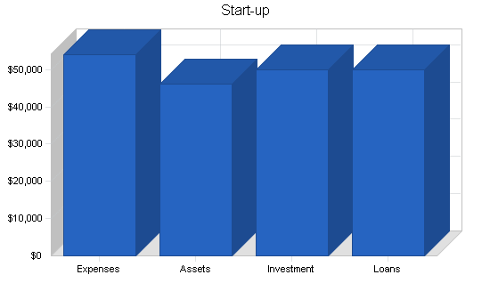 Medical language translation business plan, company summary chart image