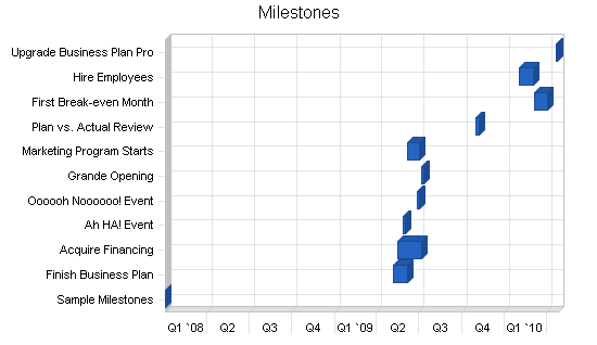 Auto parts store business plan, strategy and implementation summary chart image