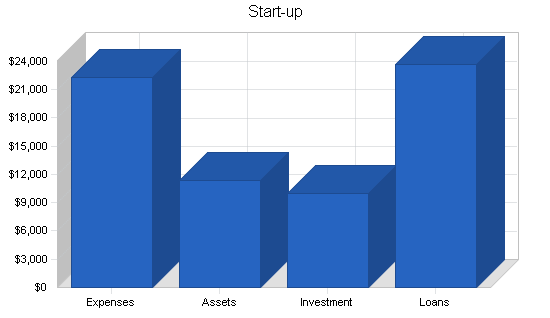 Automated accounting business plan, company summary chart image