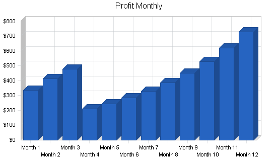 Soho computer consulting business plan, financial plan chart image