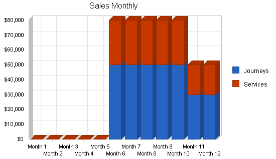 Travel agency - upscale business plan, strategy and implementation summary chart image