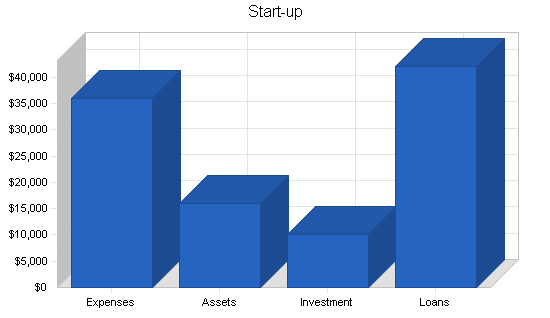 Shaved ice beverage business plan, company summary chart image