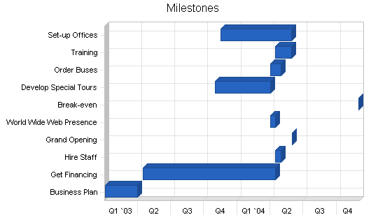 Sightseeing bus tours business plan, strategy and implementation summary chart image