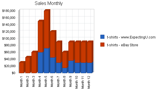 Maternity clothing online business plan, strategy and implementation summary chart image