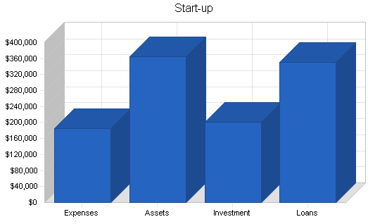 Resort hotel ski lodge business plan, company summary chart image