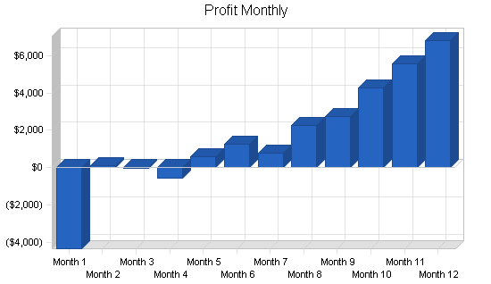 Direct mail and shipping business plan, financial plan chart image