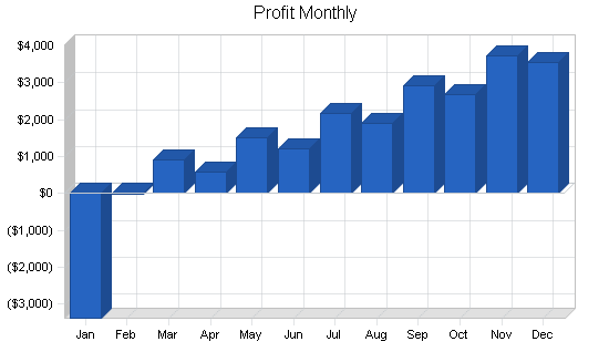 Hair replacement and salon business plan, financial plan chart image