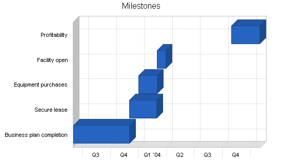 Medical scanning lab business plan, strategy and implementation summary chart image