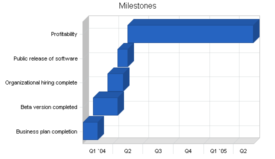 Computer software business plan, strategy and implementation summary chart image