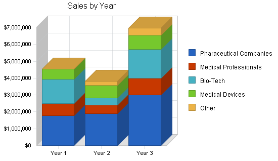 Medical internet marketing business plan, strategy and implementation summary chart image