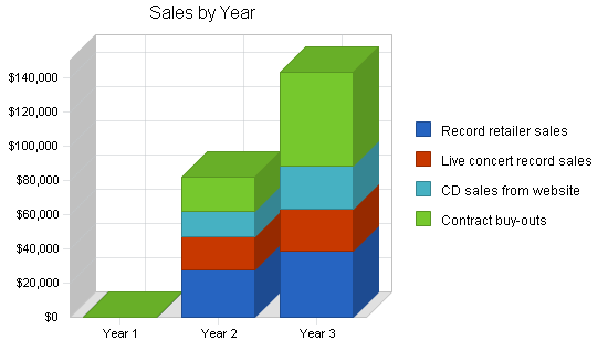 Music recording producer business plan, strategy and implementation summary chart image