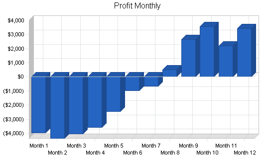 Medical transcription business plan, financial plan chart image