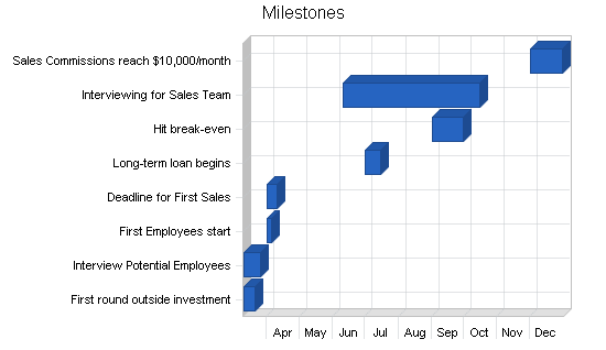 Wireless datacomm business plan, strategy and implementation summary chart image