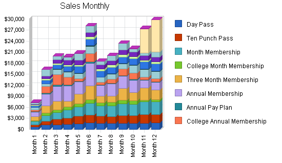 Rock climbing gym business plan, strategy and implementation summary chart image