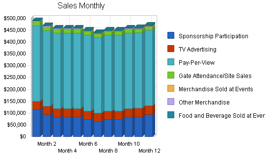 Wrestling entertainment business plan, strategy and implementation summary chart image