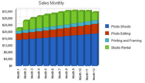 Commercial photography business plan, strategy and implementation summary chart image