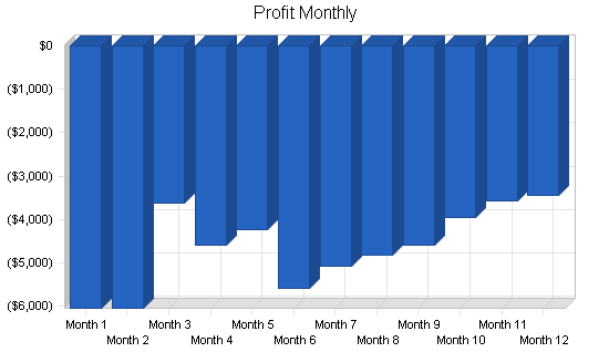 Maternity clothing business plan, financial plan chart image