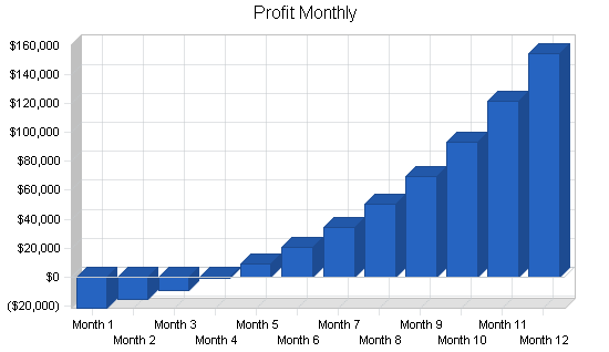 Sbp, environmental car dealership business plan, financial plan chart image