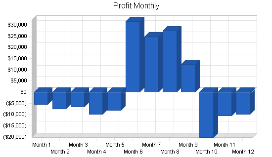 Surf clothing and sportswear business plan, financial plan chart image