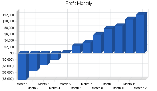 Veterinary clinic business plan, financial plan chart image