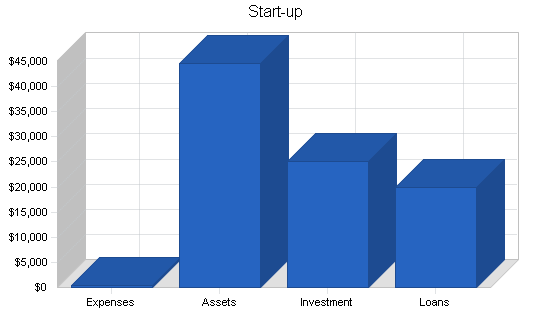 Bicycle art business plan, company summary chart image