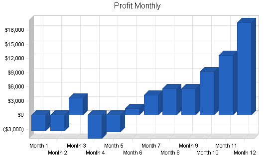 Computer programming business plan, financial plan chart image