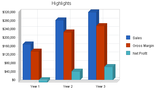 Airport taxi business plan, executive summary chart image