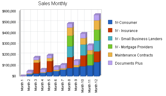 Industry-specific software business plan, strategy and implementation summary chart image