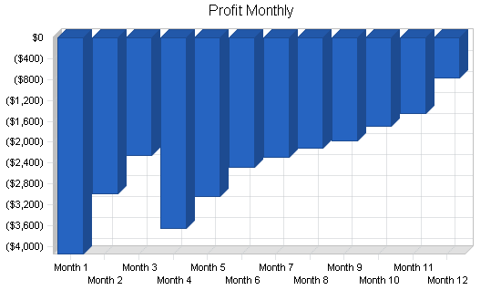 Packaging and shipping business plan, financial plan chart image