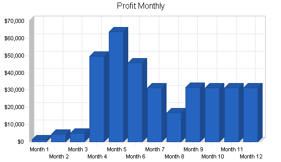 Maternity clothing online business plan, financial plan chart image