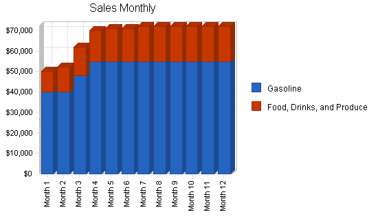 Convenience store gas station business plan, strategy and implementation summary chart image