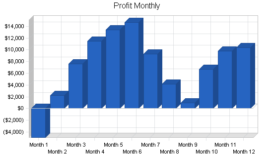 Mexican restaurant business plan, financial plan chart image
