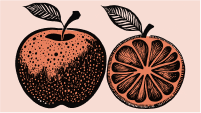 Apples and oranges. Representing different business plan types and how they are similar and different at the same time.